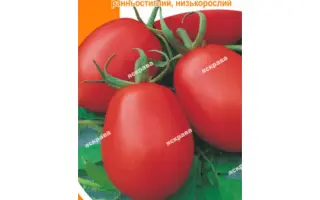 Искорка (Искра) / Іскорка