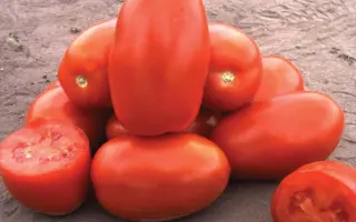 Classic / Класік