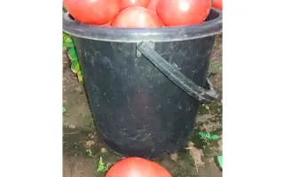 CLIMBO / КЛІМБО