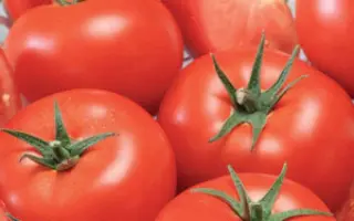 COMANCIX / КОМАНСІКС