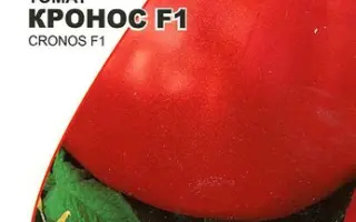 Cronos F1 / Кронос F1