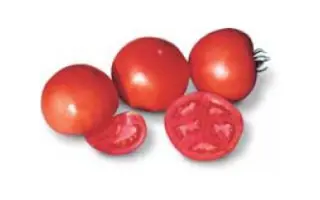 Lenor F1 / Ленор F1