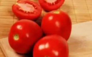 Lydia MC3 F1 / Лідія MC3 F1