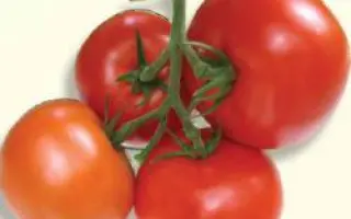 Listell F1 / Лістел F1