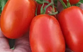 Littano / Літтано