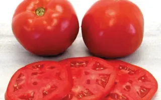 Luanova / Луанова