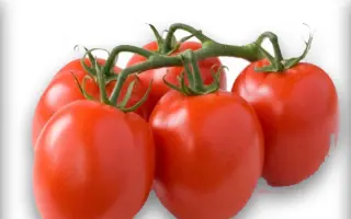 Lugas F1 / Лугаш F1