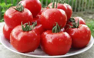 Malike F1 / Малік F1