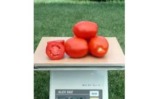 Missouri Original / Миссури Оригинал