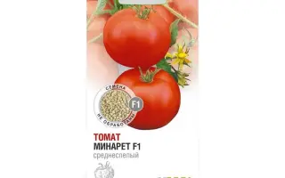 Minaret F1 / Мінарет F1