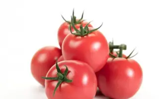 Mogami / Могамі