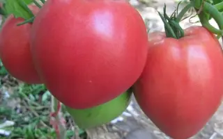 Надбужанський