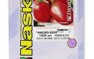 Наско-2001