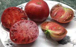 Nixarty / Ніксарті