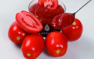 Perfect MC3 F1 / Перфект МС3 F1