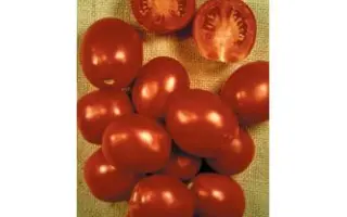 Пето 86 Оригинал