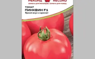 Pinkwin / Пінквін