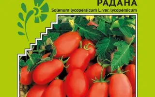 Radana / Радана