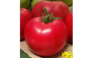 Razzane / Разан