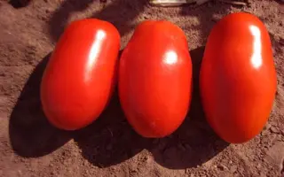 Reactor / Реактор