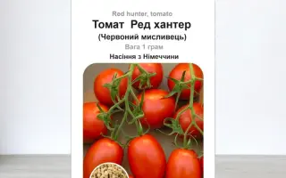 Red Hunter / Ред Хантер