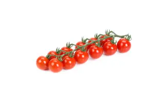 Reddery / Реддері