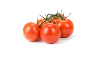 Santiana / Сантіана