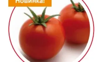 SV5215TD / СВ5215ТД