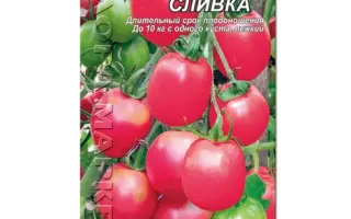 Сэрпнэвый / Серпневий