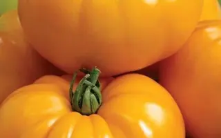 Сонячне коло