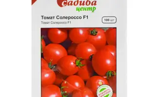 Source F1 / Сорс F1