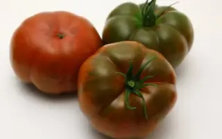 Stealth F1 / Стелс F1