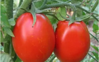 Trident F1 / Трайдент F1