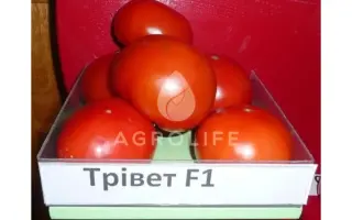 Trivet F1 / Трівет F1
