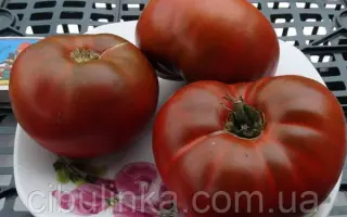 Тясмінський