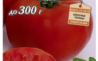 Харків'янин F1