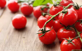 Heavioso / Хевіозо