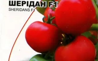 Sheridan / Шерідан