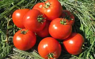 Yusuf 408 / Юсуф 408