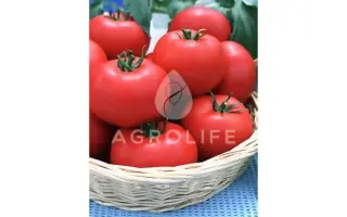 Jaguar F1 / Ягуар F1