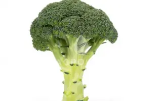 Vicario / Вікаріо