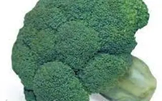 Cazzy F1 / Кезі F1