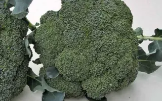 Corato / Корато