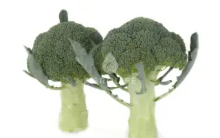 Orantes / Орантес