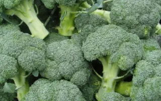 SV1002BL / СВ1002БЛ