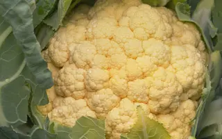 ТМ-04/FL / ТМ-04/ФЛ