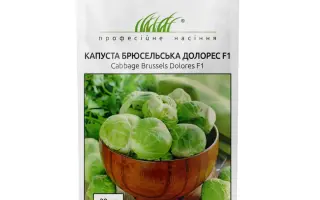 Dolores / Долорес