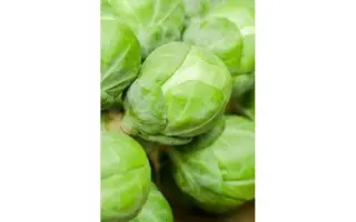 Kasiopea / Касіопея