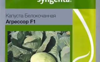 Agressor F1 / Агрессор F1