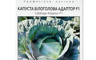 Adaptor F1 / Адаптор F1